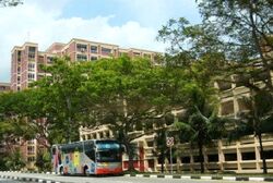 Blk 233 Pasir Ris Drive 4 (Pasir Ris), HDB 5 Rooms #483089131